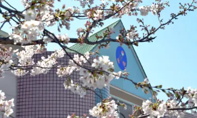 七彩学舎法人概要サブ画像 ご挨拶