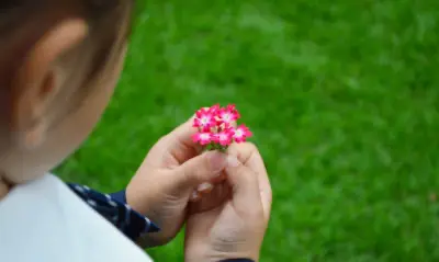 七彩学舎法人概要サブ画像 概要