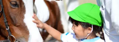 法人理念 優しさ